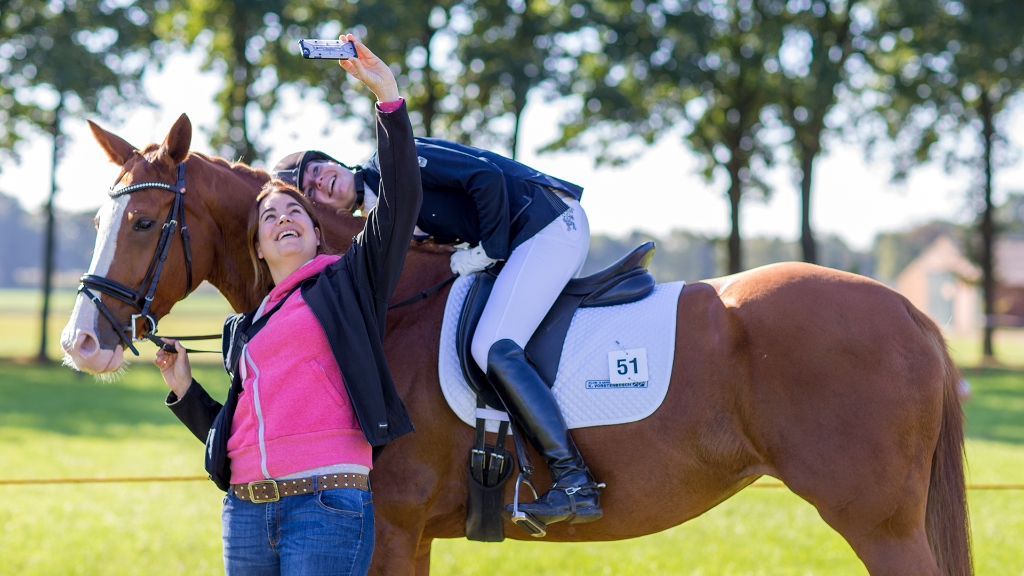 Lierop Fokpaardendag 2016 (70).jpg - Lierop Fokpaardendag 2016